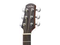 Walden T350W Walden T350W
